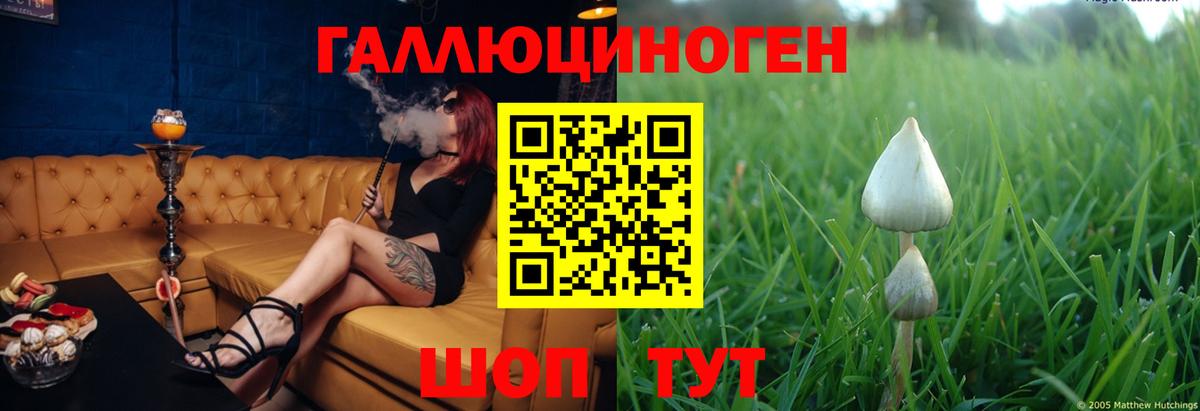 Псилоцибиновые грибы прущие грибы  Вход с VPN  Можга  Галлюциногенные грибы GOLDEN TEACHER 