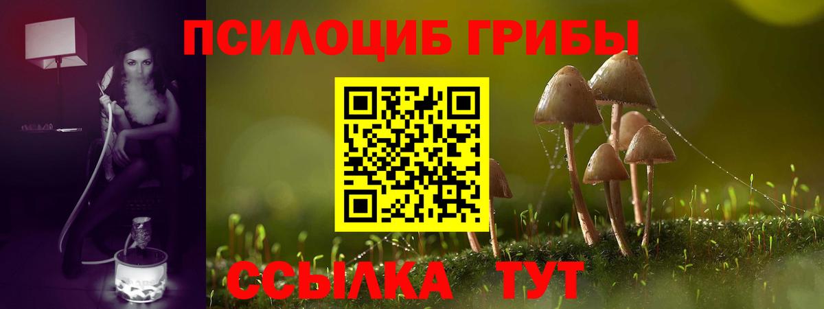 Псилоцибиновые грибы мухоморы Можга
